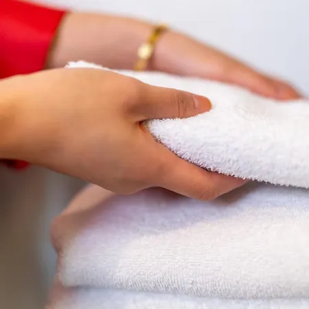 Clayton Charlemont Hotel Dublin